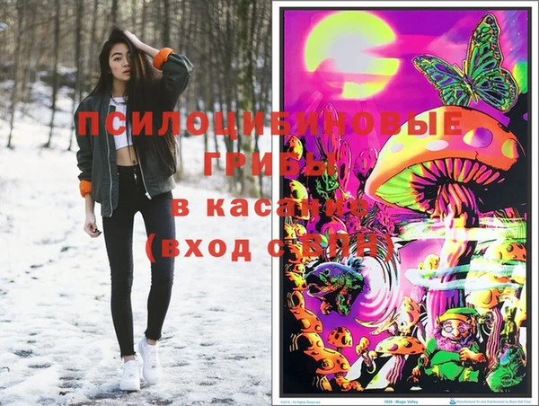 прущий лед Рославль