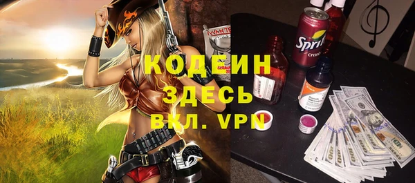 дурь Алексин