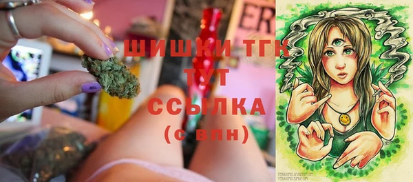 PSILOCYBIN Алексеевка