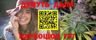 сатива Гулькевичи