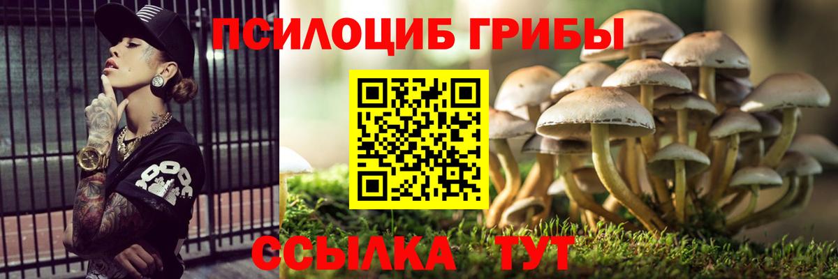 Лобня  Галлюциногенные грибы прущие грибы  Галлюциногенные грибы Psilocybe  Вход с VPN 